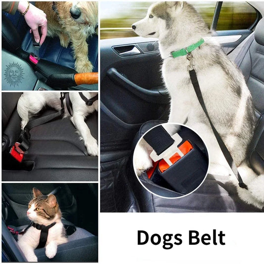 TravelPet Safety Belt