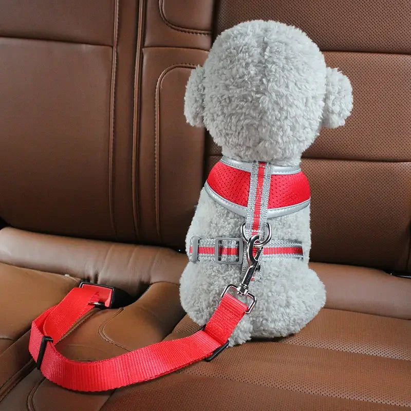 TravelPup Safety Belt