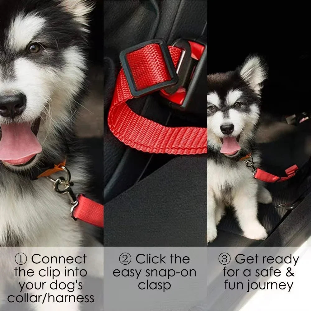 TravelPup Safety Belt